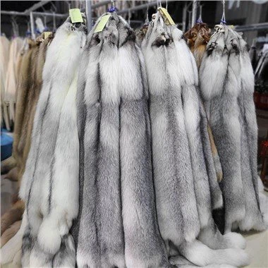 ארמין פרוות פלט